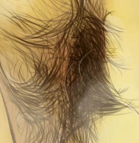 Musky pube servicer~