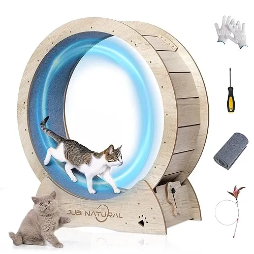 Exercise wheel for cats