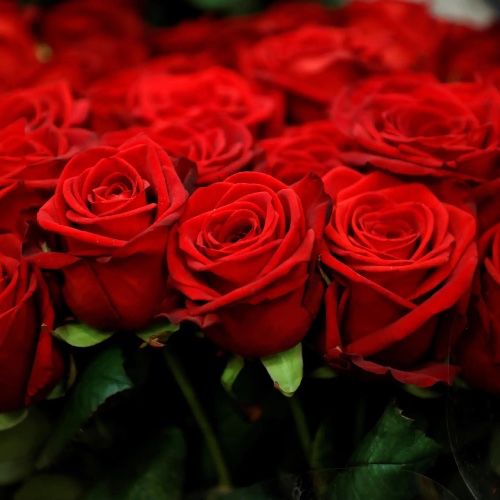 fresh flowers :)