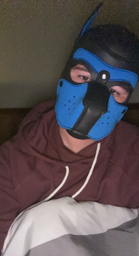 Content Creation Fund