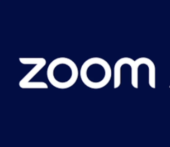 A Year of Zoom