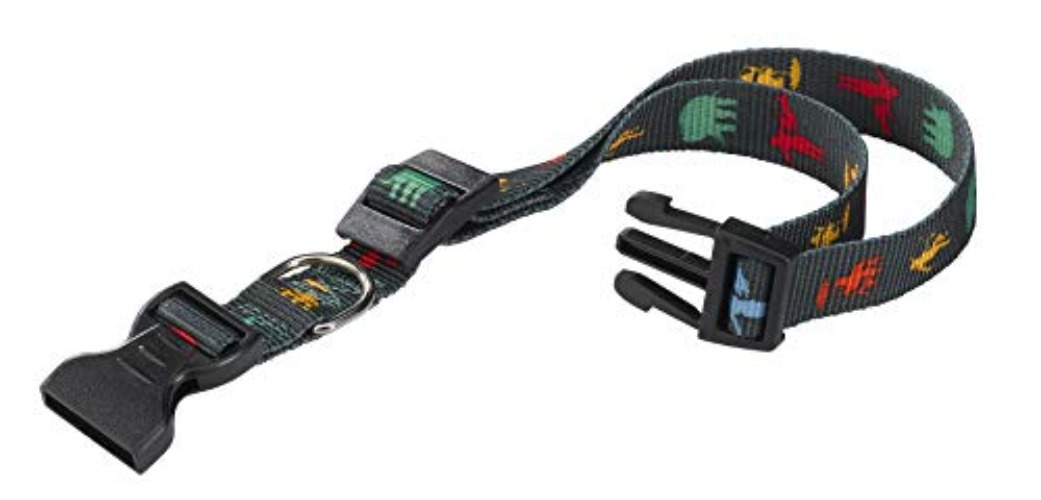 Coleirinha de Dinossauro 🦖