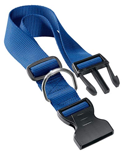 Coleirinha Azul 💙