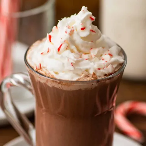Hot Chocolate Bonanza