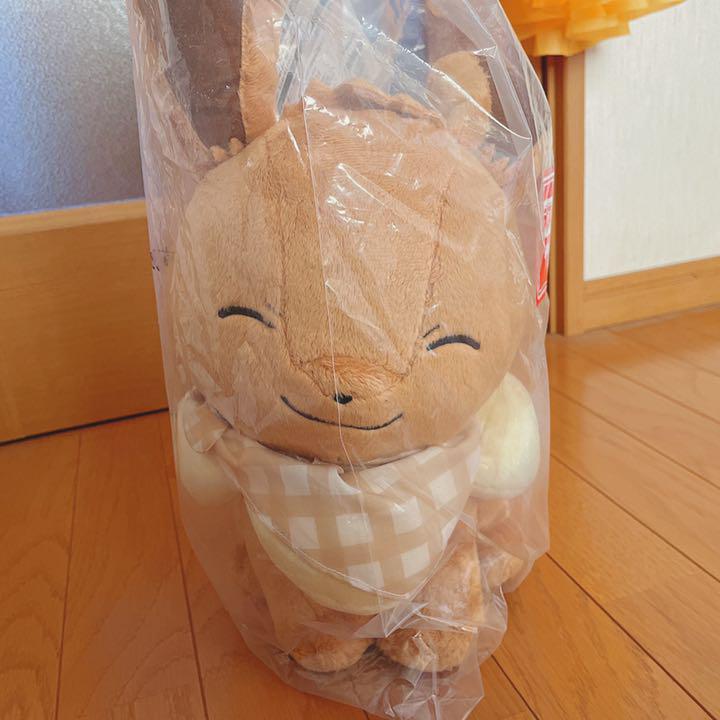 Hoppegyuu ♪ Eevee last one prize pokemon stuffed soft plush