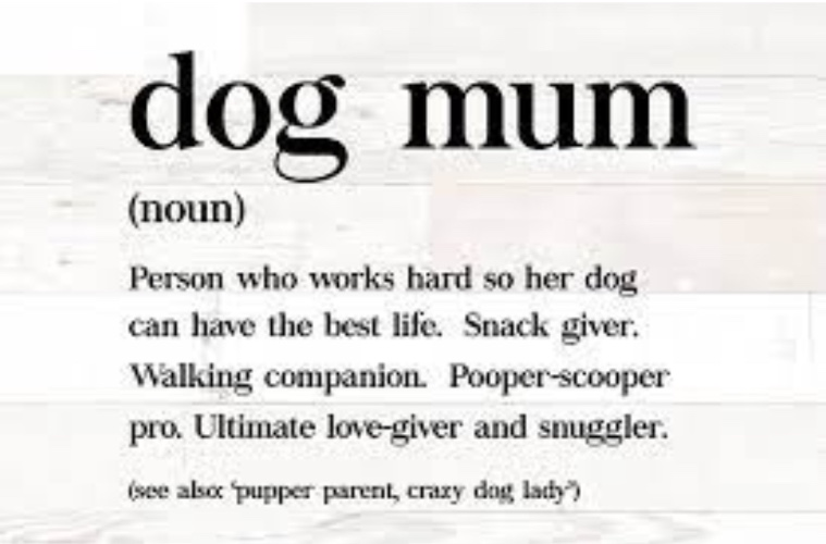 For my canine babies 🐾❤️🐾❤️