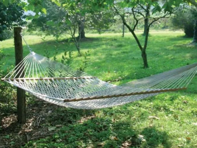 
	Rochester Rope Hammock
