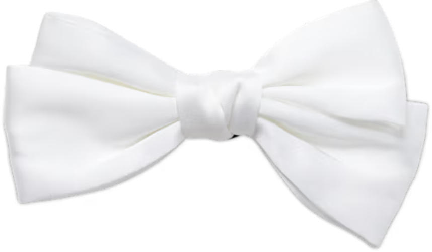 Oversized Regal White Bow