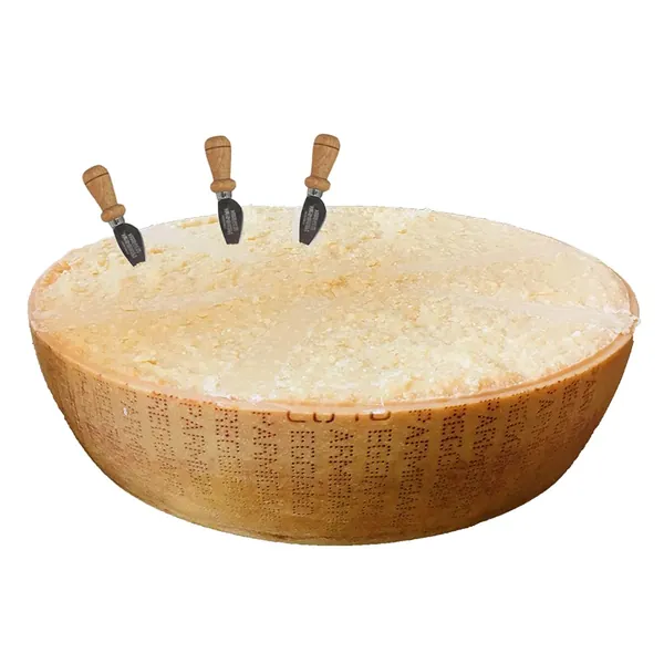 Parmigiano Reggiano PDO "Saliceto" from hill, Half wheel, seasoned 24 months, weighing.- 40 lbs
