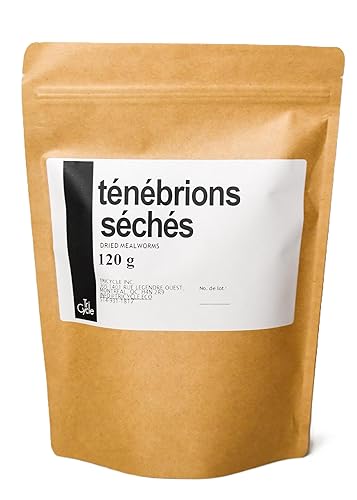 Crunchy Edible Mealworms