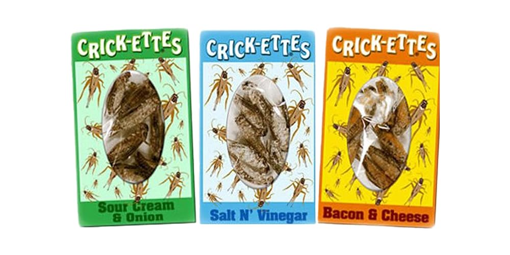 Crick-ette 3 Pack Edible Insect Snacks