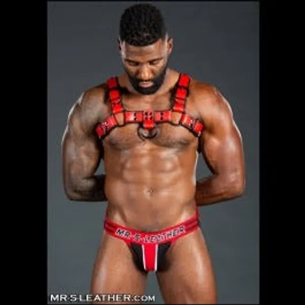 Dark Room Bulldog Harness - Red
