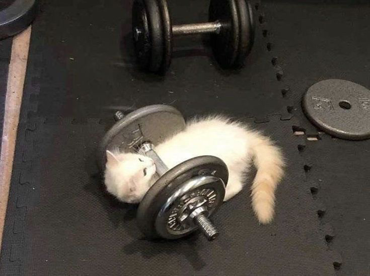 gym membership 