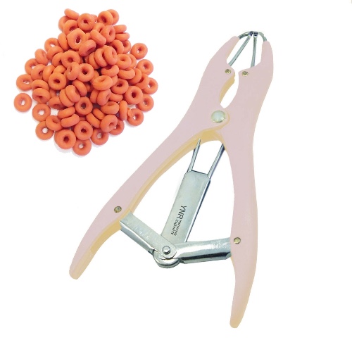 Elastrator for ‘animal’ castration 🥰