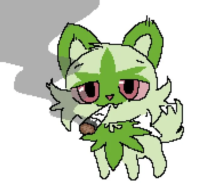 Get kitty high