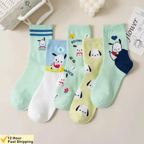 Calcetines Sanrio - Pochacco