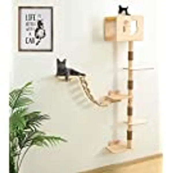 Cat Tree House with Hammock Wall Mount Cat Shelf Climbing Tall Activity Tower Solid Wood Indoor Cat Wall Furniture 75 Inch