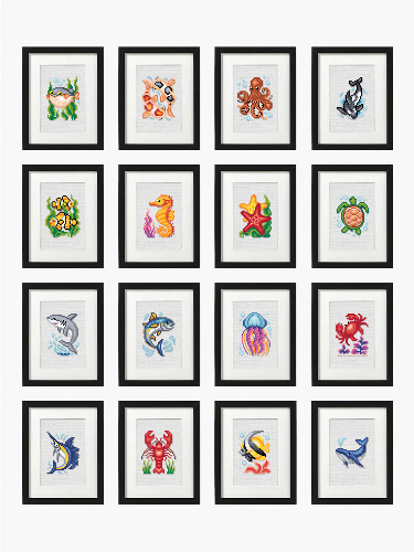 Ocean Edition | Default Title