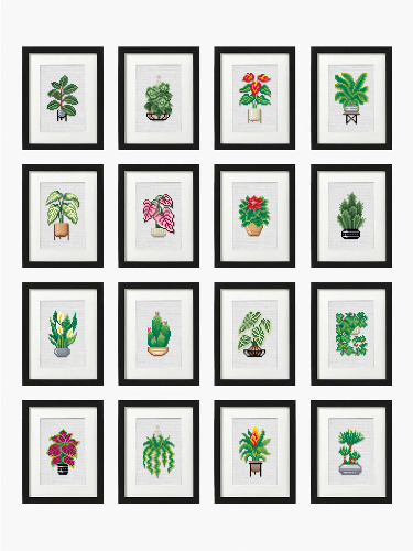 Houseplants Edition 2 | Default Title