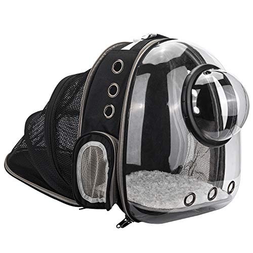 AJY Pet Clear Cat Backpack Carrier Foldable Breathable Pet Rucksack Carrier for Puppy Dog Cat Lightweight Cat Backpack Designed for Travel, Hiking, Walking & Outdoor Use - Black