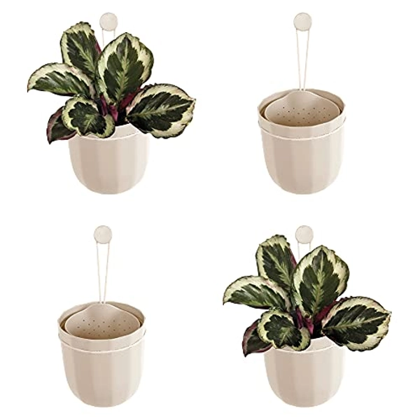 WallyGrow Loop Hanging Wall Planter, Indoor Flowerpot, Hanging Planter for Indoor and Outdoor Planting, Mount on Wall or Ceiling (Oat, 4 Pack)