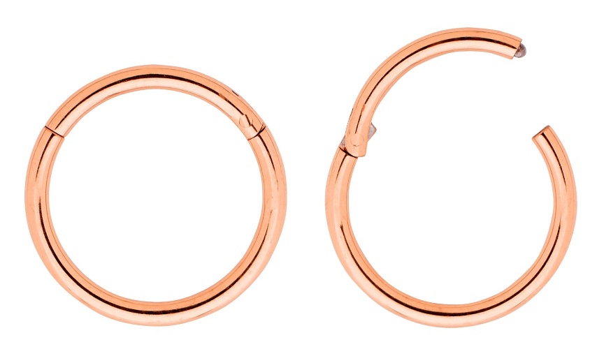 365 Sleepers 2 Pcs G23 Titanium 16G (Regular) Hinged Hoop Segment Nose Ring Sleeper Earrings 5mm - 6mm - 7mm - 8mm - 9mm - 10mm - 11mm - 12mm - 13mm - 14mm - 16mm - 14mm Rose