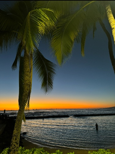 $1500 for a tropical getaway
