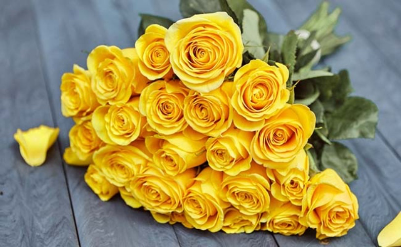 🌼Flower Power!🌼