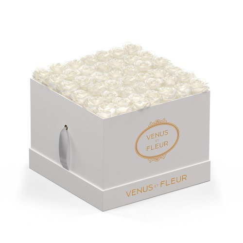 Large Square | White Classic / Pure White