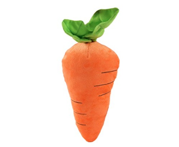 Carrot Squeaky Toy
