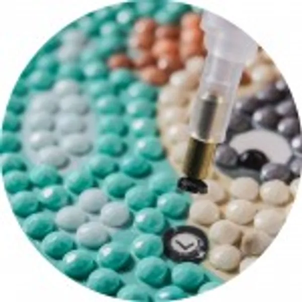 DIAMOND DOTZ - Water Lilies and Japanese Bridge - DQ13.003