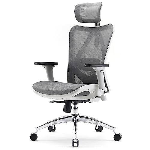 SIHOO M57 Ergonomic Office Chair with 3 Way Armrests Lumbar Support and Adjustable Headrest High Back Tilt Function Light Grey - Light Gray