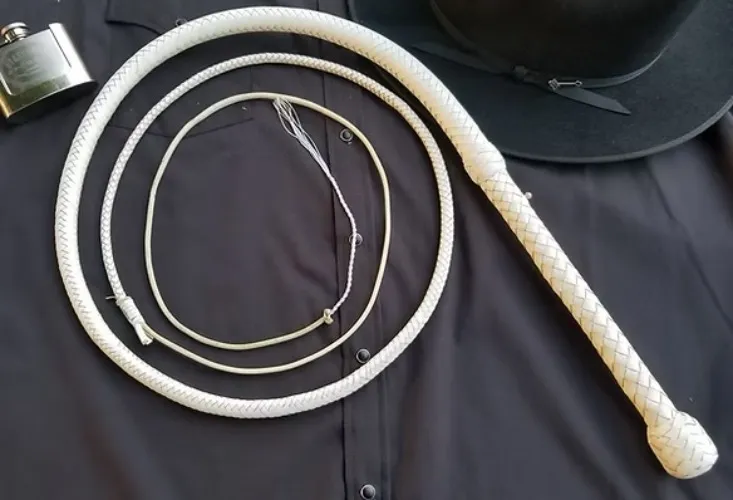 The Statesman Bullwhip | Trinity Whips