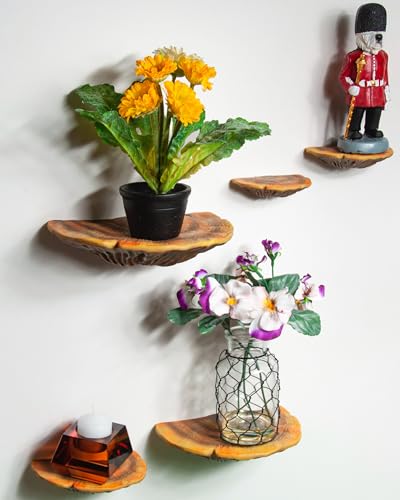 Wiosi Mushroom 5-Piece Floating Wall Shelf Set, Hand-Painted Resin Shelves, Ideal for Cottagecore, Reptile Tank Decor - Gill Mushroom