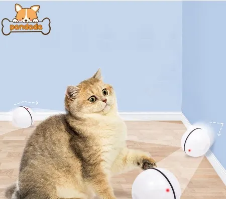Automatic Rolling Ball Toy