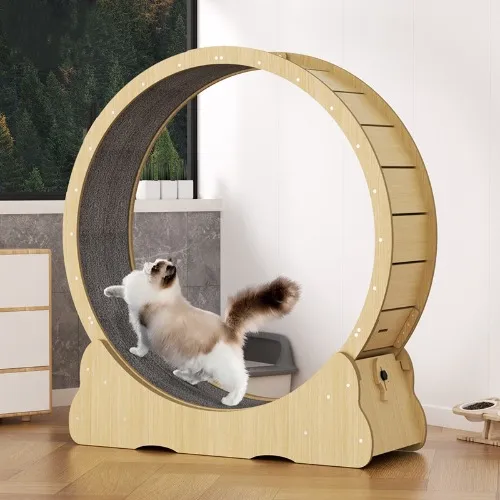 Cat Treadmill Solid Wood