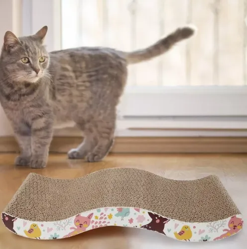 Scratching Cardboard