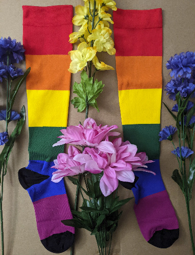 Pride Compression Socks - S/M / Original Pride