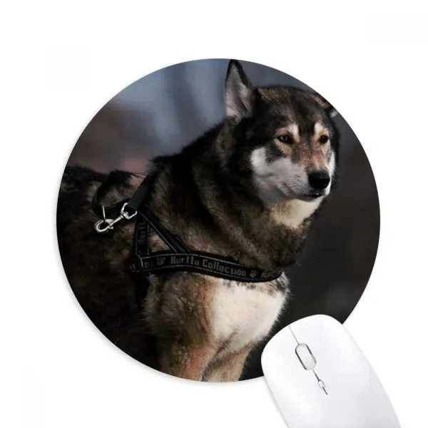 DIYthinker Gomma Mousepad gioco Ufficio Mouse Pad regalo Cane Husky animale solitario Night Round antiscivolo