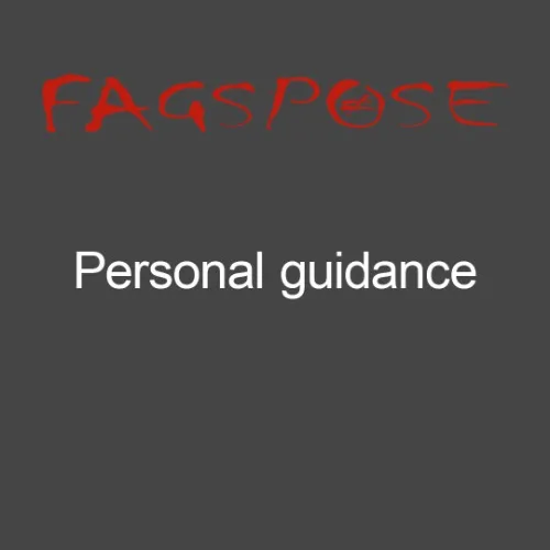 Personal guidance (2 hours)
