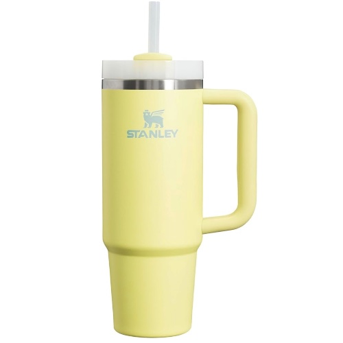 Stanley Quencher H2.0 Tumbler with Handle and Straw 40 oz | Flowstate 3-Position Lid | Cup Holder Compatible for Travel | Insulated Stainless Steel Cup | BPA-Free | Pomelo - 40 Ounces - Pomelo