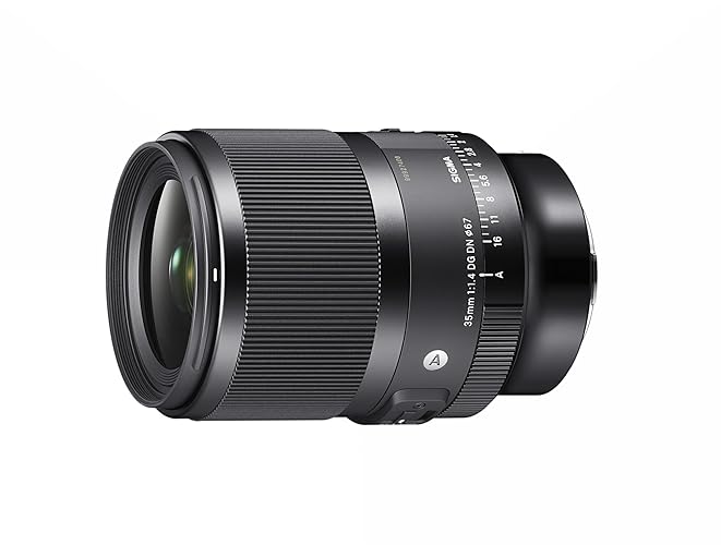 35mm F1.4 DG DN for Sony E Mount - For Sony E - Single Item