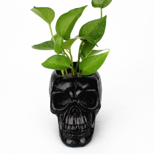 'Tales of the dead' Black skull pot