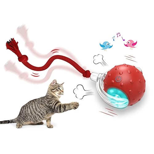 Giociv Interactive Cat Toys Ball for Indoor Cats Fast Rolling on Carpet, Chirping & Motion Activate Cat Toys (Red) - Red