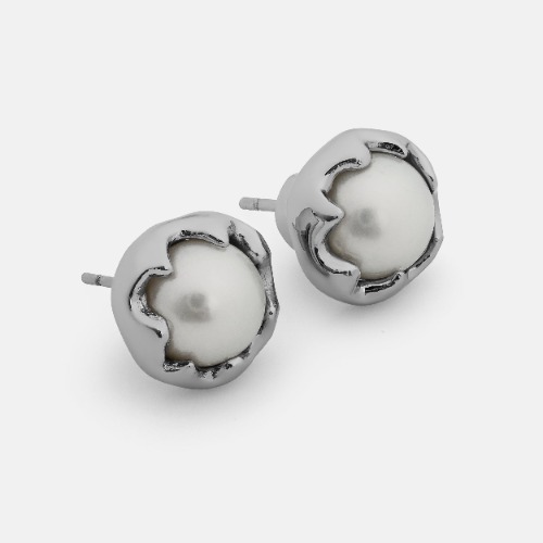 Raid | Stainless Steel