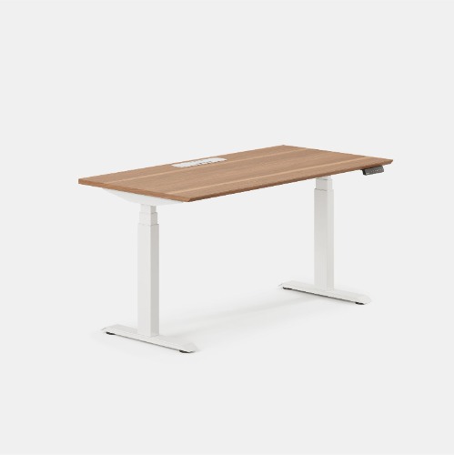 Standing Desk - Walnut / White / 60 inches x 30 inches