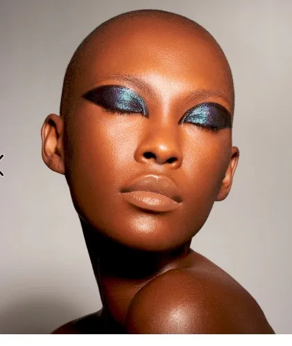 Twin Flames Liquid Eyeshadow Danessa Myricks Beauty