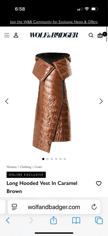 Long Hooded Vest In Caramel Brown