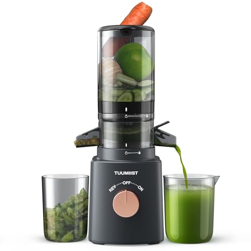 Juicer Machines, TUUMIIST Cold Press Juicer with 4.05'' Large Feed Chute Fit Whole Vegetable And Fruit, Masticating Juicer Easy To Clean, Baby-Safe Tritan Material - Gun Grey