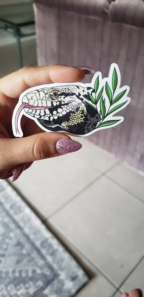 Tegu sticker